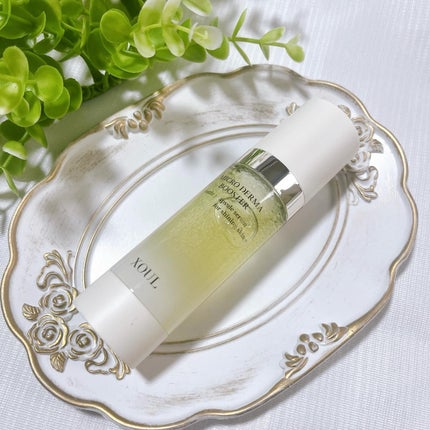 マイクロダーマブースター/XOUL/美容液を使ったクチコミ(1枚目)