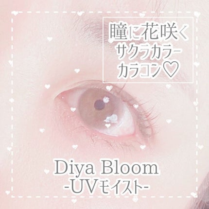 Diya Bloom UVモイスト/Diya/カラーコンタクトレンズを使ったクチコミ(1枚目)