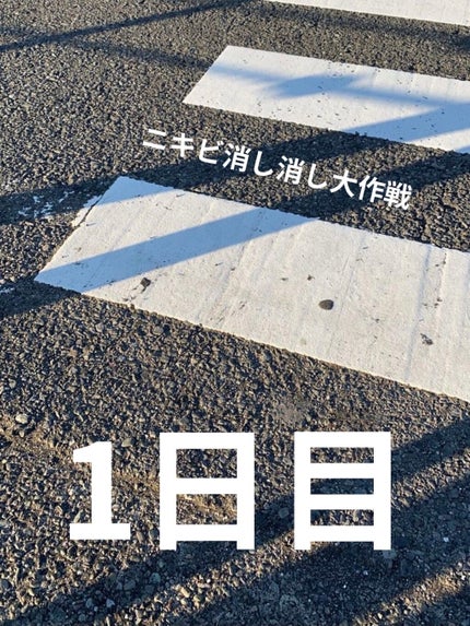 ハトムギ化粧水(ナチュリエ スキンコンディショナー R )/ナチュリエ/化粧水を使ったクチコミ(1枚目)
