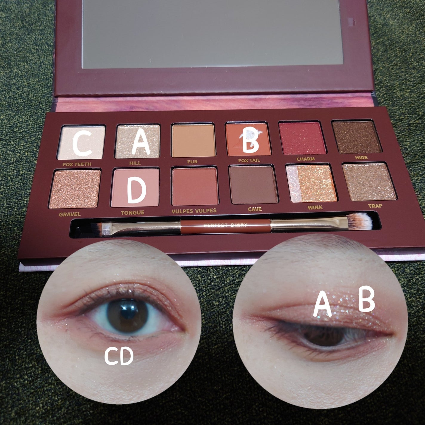 エクスプローラ12色 動物アイシャドウパレット/PERFECT DIARY/アイシャドウパレットを使ったクチコミ(3枚目)