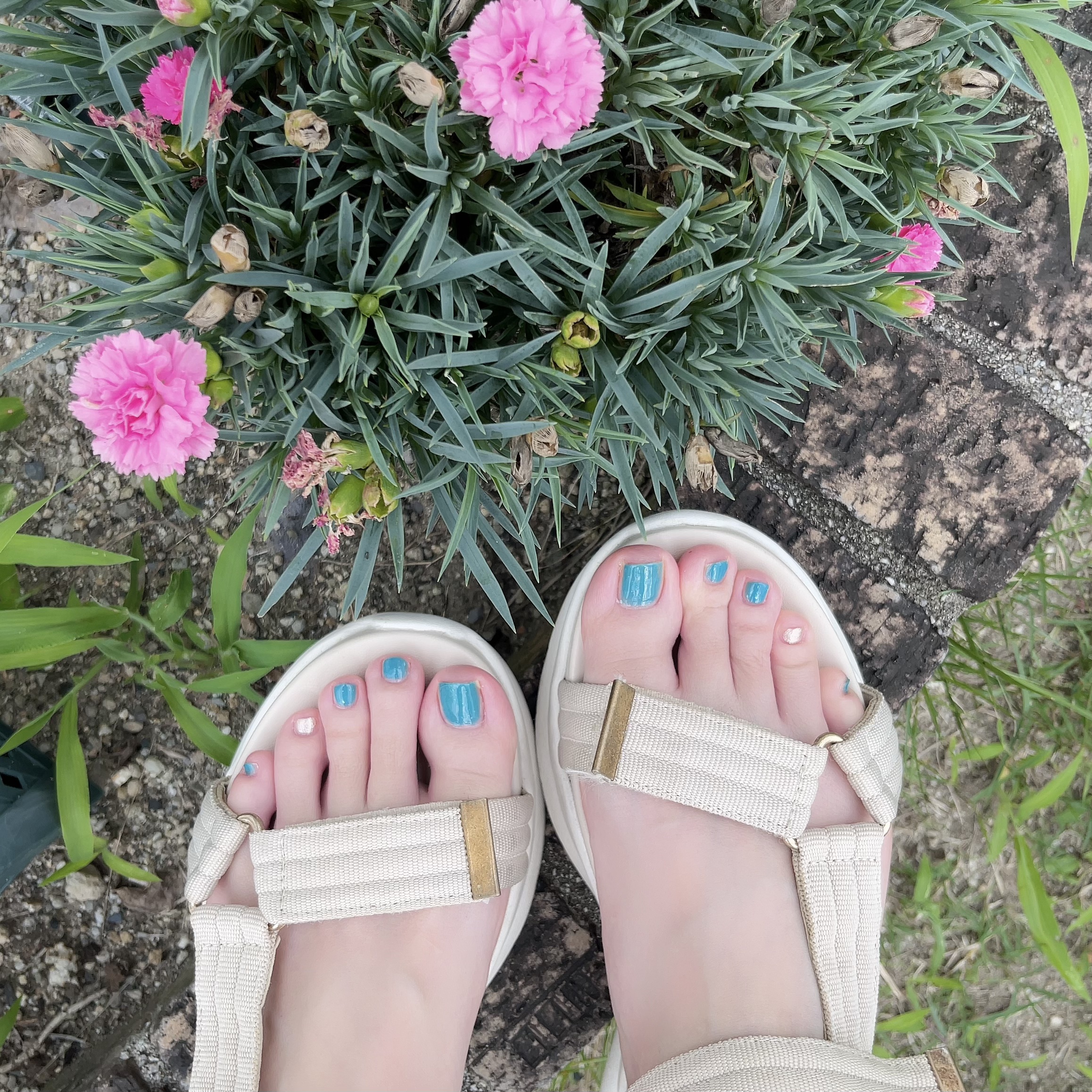 TONE DROP ネイルポリッシュ/D-UP/マニキュア by あやか🐰フォロバ(投稿ある方)