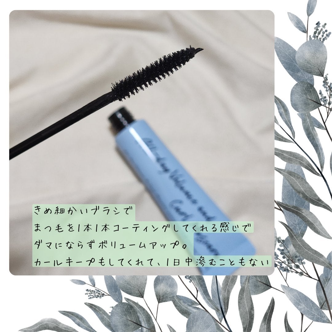 オールデイ ボリュームアンドカールマスカラ/Milk Touch/マスカラを使ったクチコミ(2枚目)