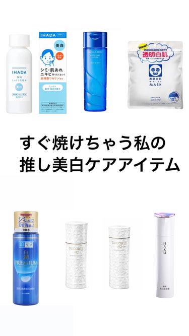 白潤プレミアム 薬用浸透美白化粧水(しっとりタイプ)/肌ラボ/化粧水を使ったクチコミ（1枚目）