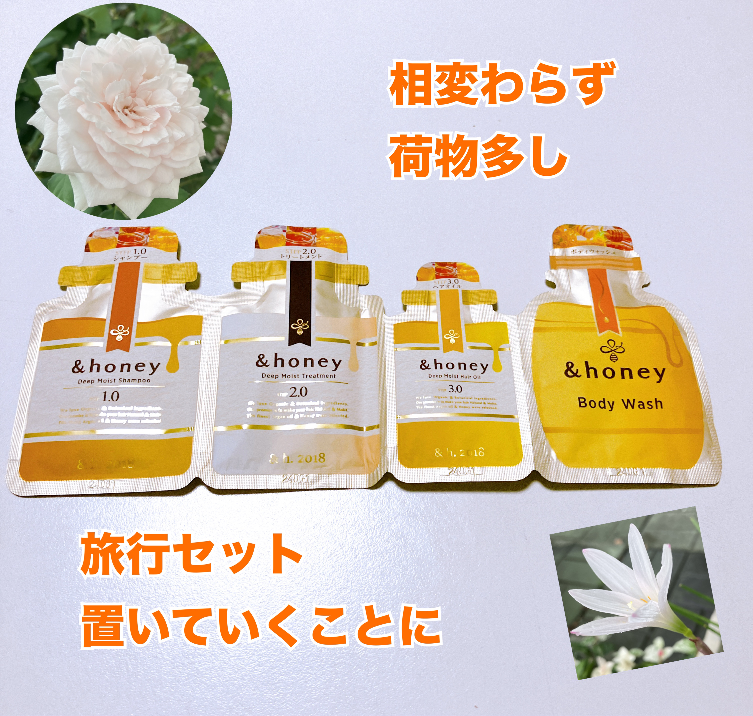 u0026honey ディープモイスト　パインアメ 限定ペアセット 試してみたアンドハニー ディープモイスト パインアメ 限定ペア