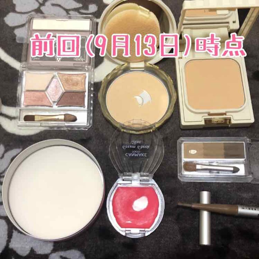 【旧品】パーフェクトスタイリストアイズ/キャンメイク/アイシャドウパレットを使ったクチコミ（2枚目）