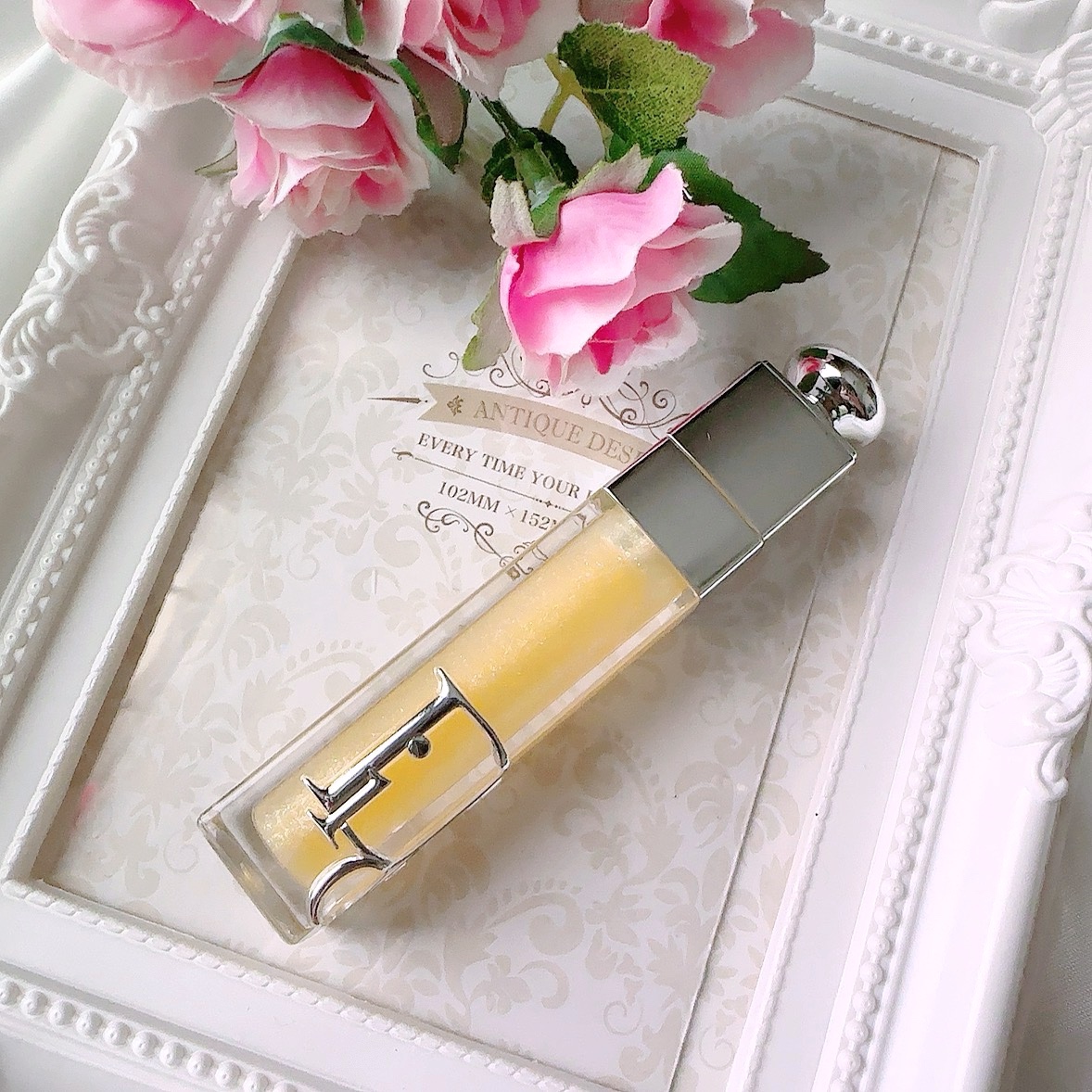 ディオール アディクト リップ マキシマイザー/Dior/リップグロスを使ったクチコミ（1枚目）