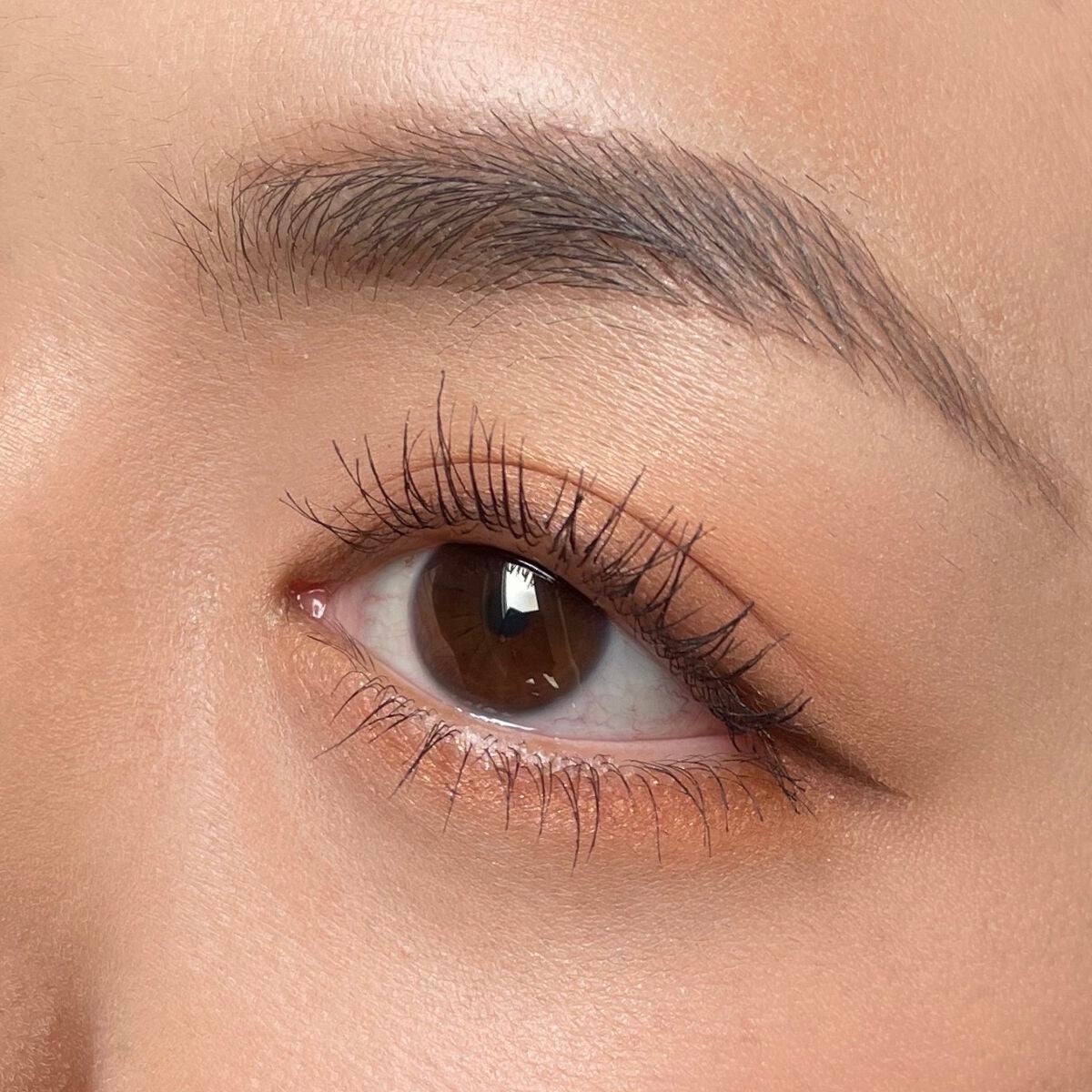 デザイニングブラウンアイズ/KATE/アイシャドウパレットを使ったクチコミ(4枚目)