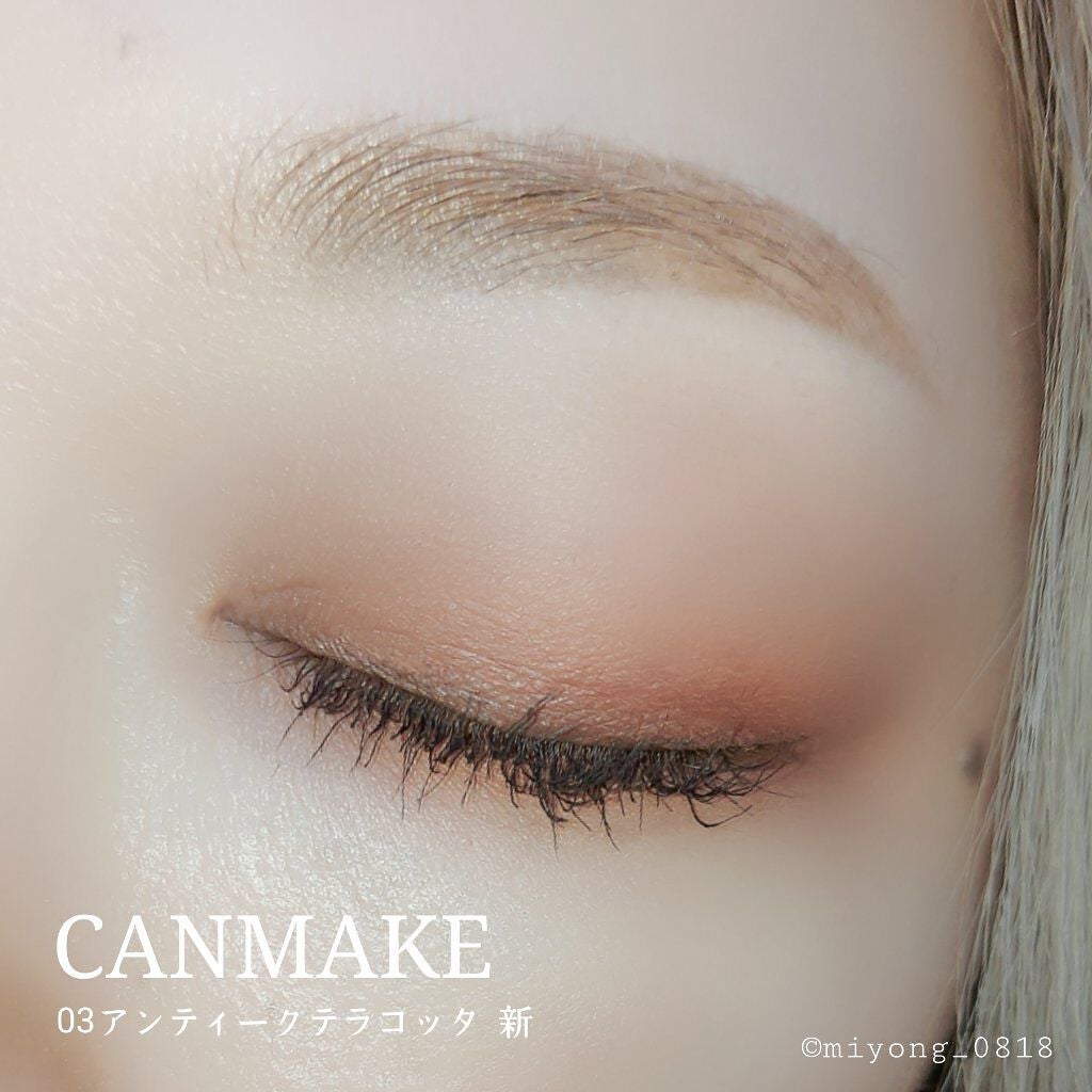 パーフェクトマルチアイズ/キャンメイク/アイシャドウパレットを使ったクチコミ(6枚目)