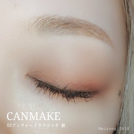 パーフェクトマルチアイズ/キャンメイク/アイシャドウパレットを使ったクチコミ(6枚目)