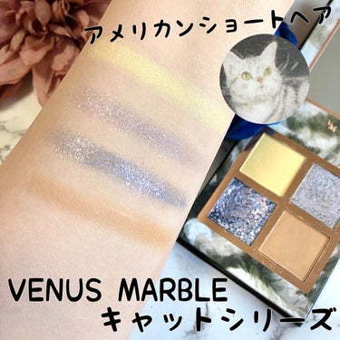 Venus Marble アイシャドウキャットシリーズ ブリティッシュショートヘア/Venus Marble/アイシャドウパレットを使ったクチコミ（2枚目）