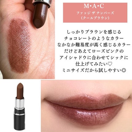 トレジャー アイシャドウ パレット ×6/M・A・C/アイシャドウパレットを使ったクチコミ(9枚目)