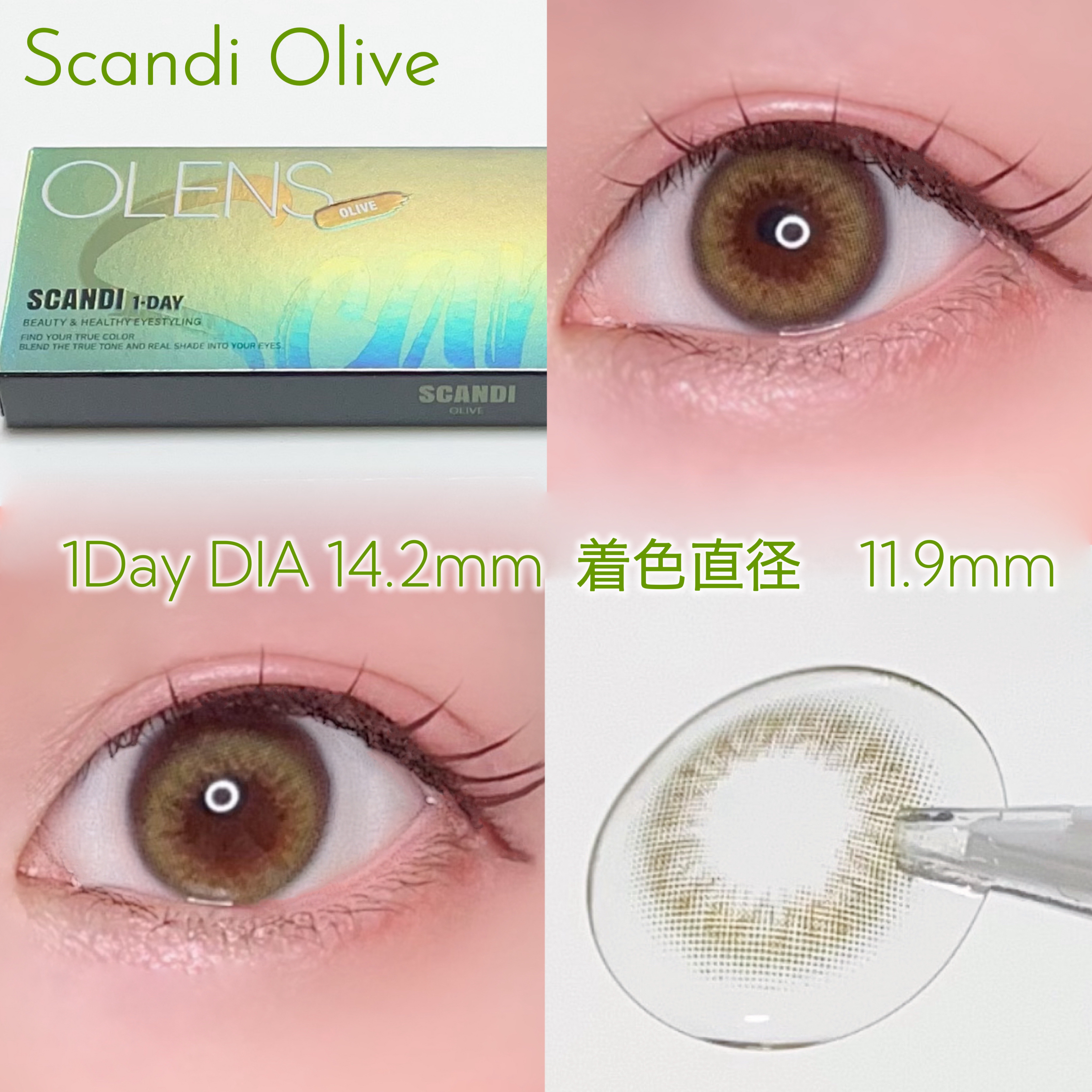 Glowy Golden Olive/OLENS/ワンデー（１DAY）カラコンを使ったクチコミ（2枚目）