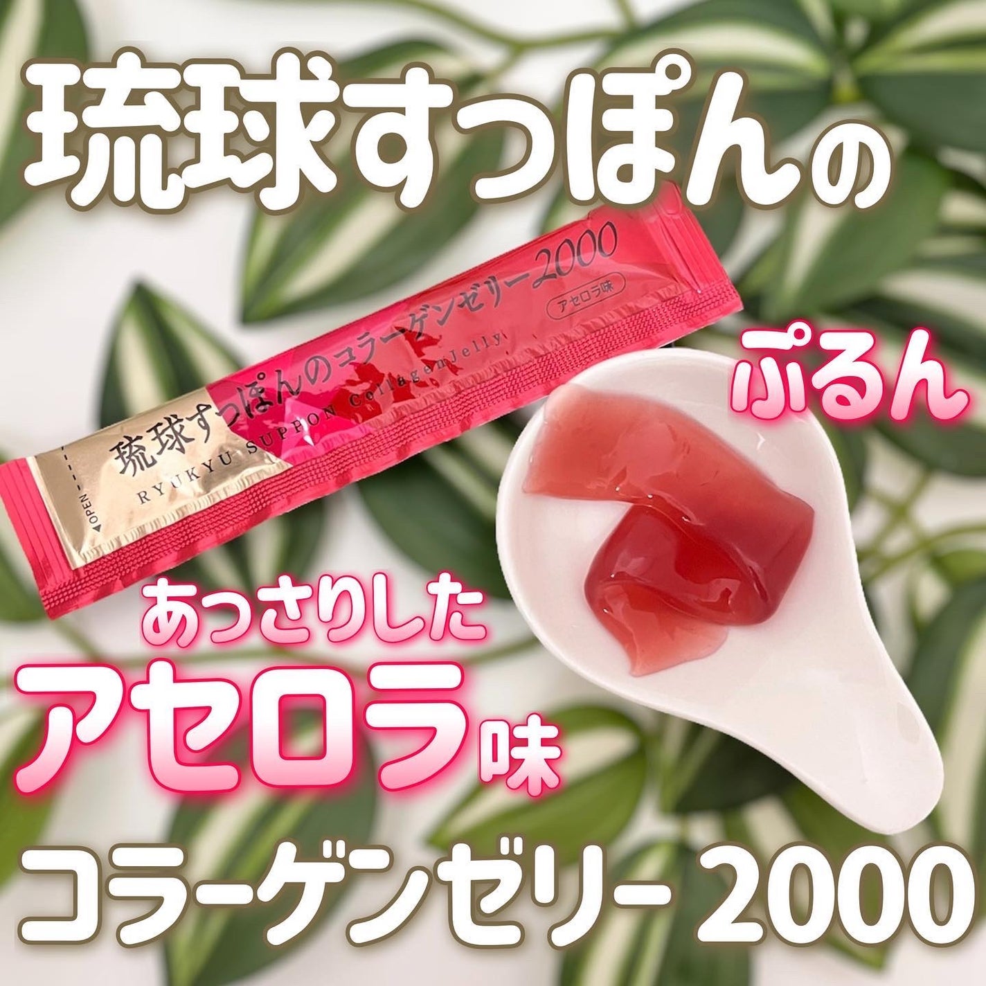 琉球すっぽんのコラーゲンゼリー/しまのや/食品を使ったクチコミ(1枚目)