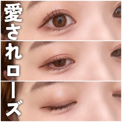 エクスプローラ12色 動物アイシャドウパレット/PERFECT DIARY/アイシャドウパレットを使ったクチコミ(5枚目)