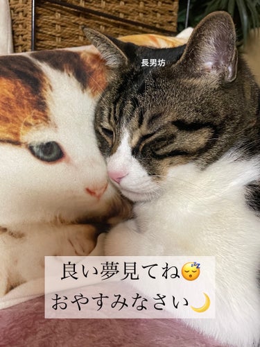 🐈猫好きミカン🍊 on LIPS 「　　　　　【手のうるおいと安眠を⭐️】　　　　　　　　　睡眠の..」（3枚目）