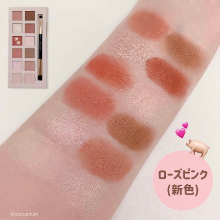 エクスプローラ12色 動物アイシャドウパレット/PERFECT DIARY/アイシャドウパレットを使ったクチコミ(5枚目)