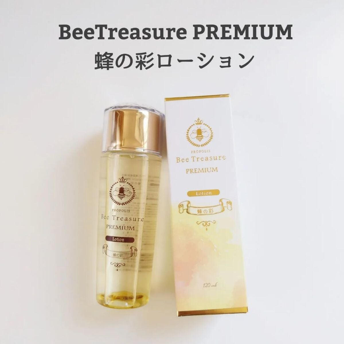 cota on LIPS 「:::::::::::::::::::::::::::::::..」(1枚目)