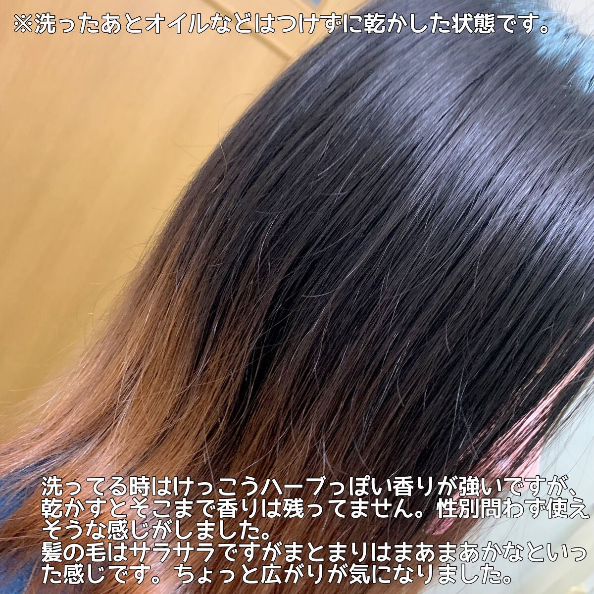 リペア シャンプー/メルティングトリートメント/season free 365/市販シャンプーを使ったクチコミ(3枚目)