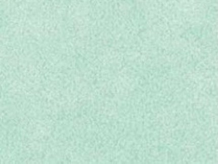 エバーカラーワンデー ナチュラル/エバーカラー/ワンデー(1DAY)カラコンを使ったクチコミ(1枚目)