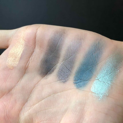 アーバンディケイ Born to runのクチコミ「今日は寒色でメイクしたかったのでUrban Decay使いました。
これかなり楽しめるパレット.....」(3枚目)