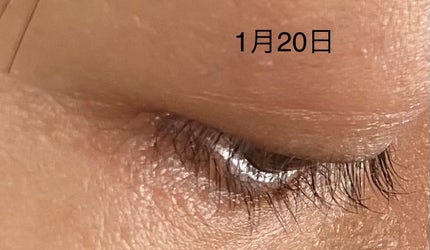 ラッシュアディクト アイラッシュコンディショニングセラム/soaddicted/まつげ美容液を使ったクチコミ(3枚目)
