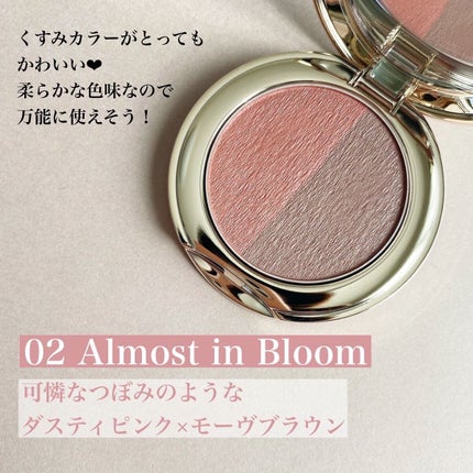 スナイデル シルキー タッチ アイズ 02 Almost in Bloom/SNIDEL BEAUTY/アイシャドウパレットの画像