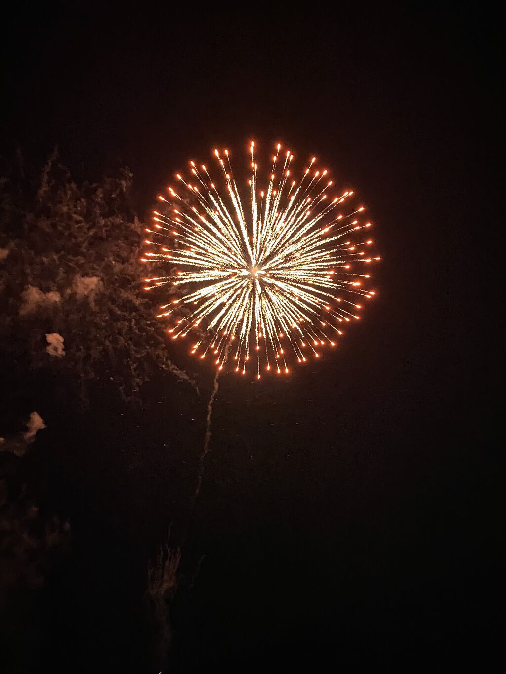 豆乳飲料 オーツ 200ml/キッコーマン飲料/豆乳飲料を使ったクチコミ（2枚目）