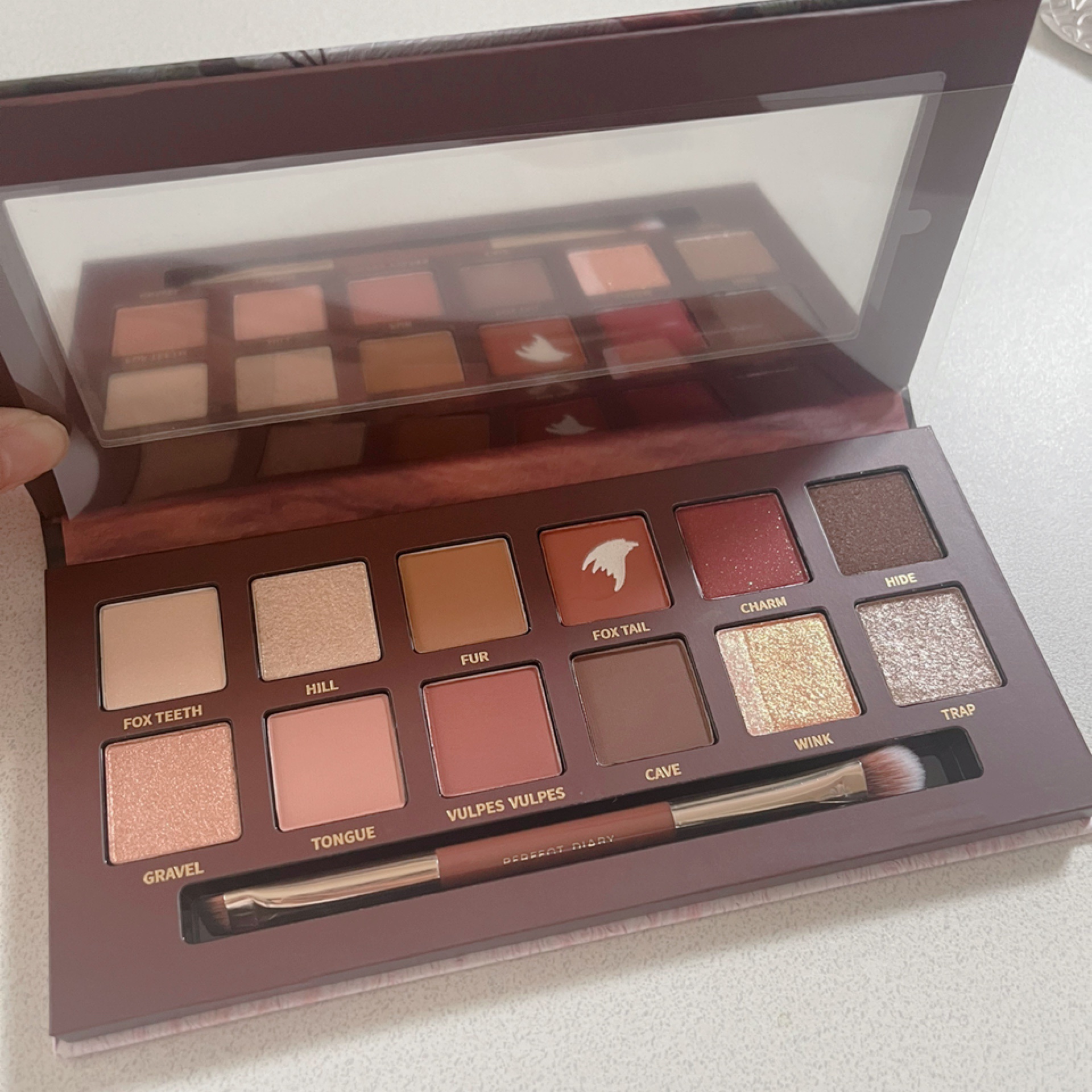 エクスプローラ12色 動物アイシャドウパレット/PERFECT DIARY/アイシャドウパレットを使ったクチコミ（2枚目）