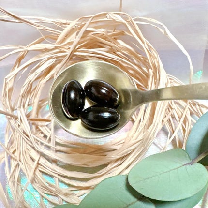 Nomumin Ferritin Iron フェリチン鉄/Dr.Watanabe/美容サプリメントを使ったクチコミ(3枚目)