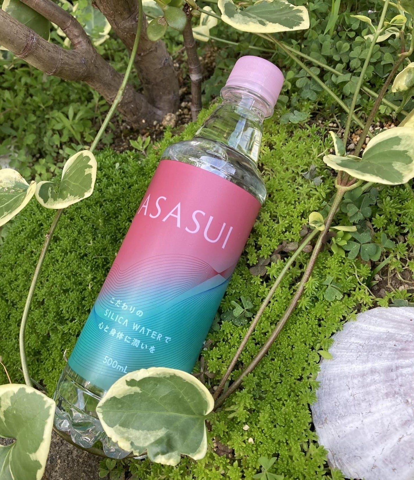 ASASUI-アサスイ-/ASASUI/ミネラルウォーターを使ったクチコミ(1枚目)