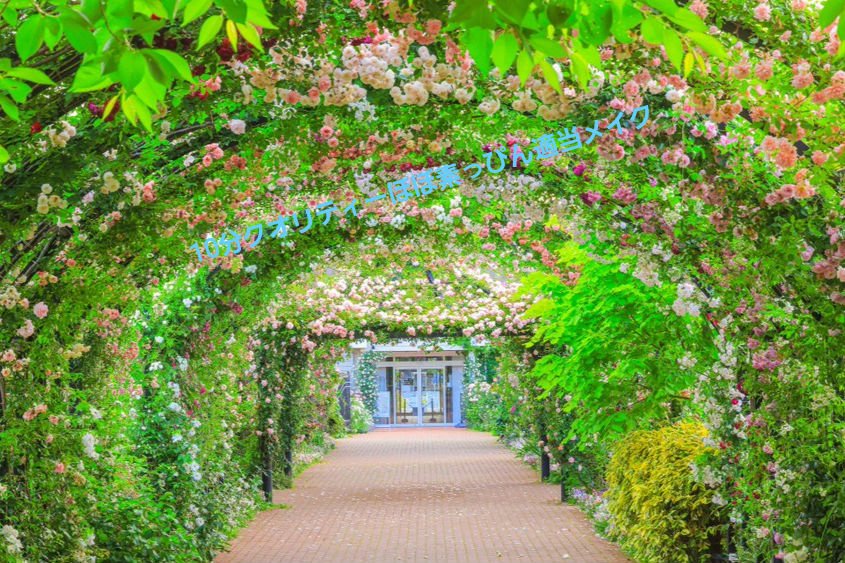 ミックスアイブロウ/キャンメイク/パウダーアイブロウを使ったクチコミ（1枚目）