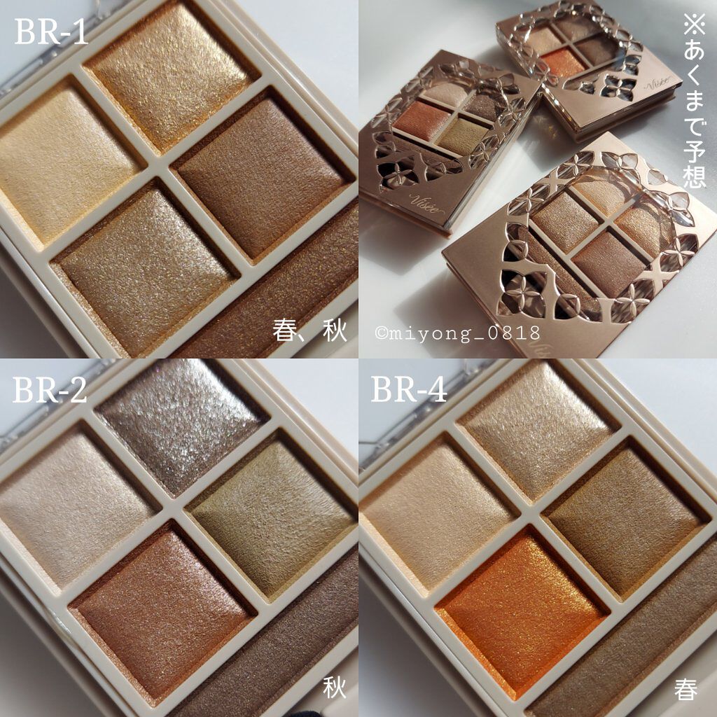 パノラマデザイン アイパレット/Visée/アイシャドウパレットを使ったクチコミ（2枚目）