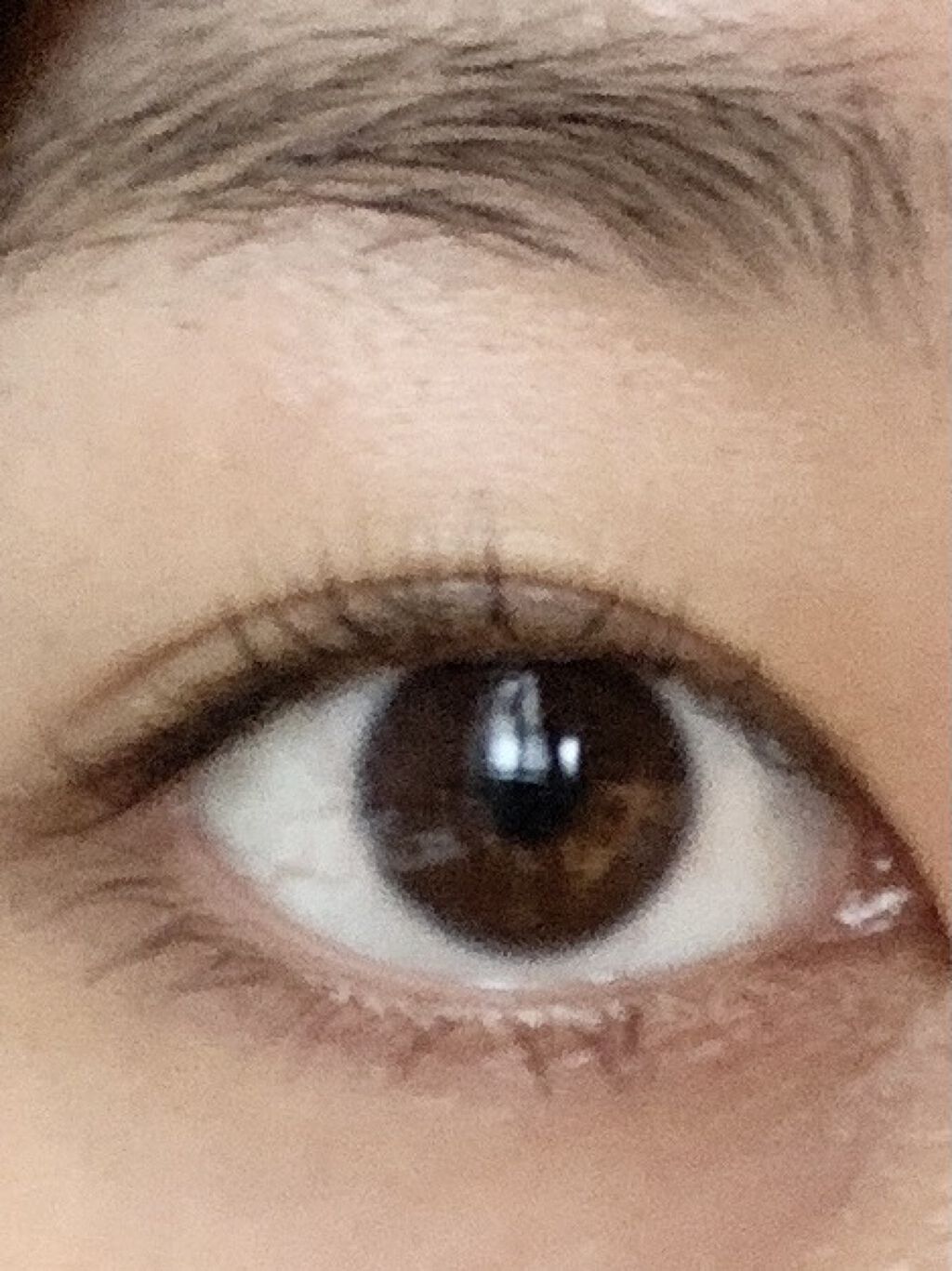 エクストラビューティ アイラッシュトニック/DHC/まつげ美容液を使ったクチコミ（1枚目）