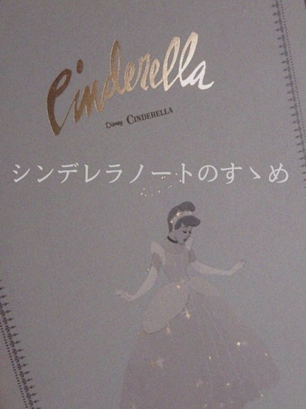 ノーセバム ミネラルパクト N/innisfree/プレストパウダーを使ったクチコミ(1枚目)