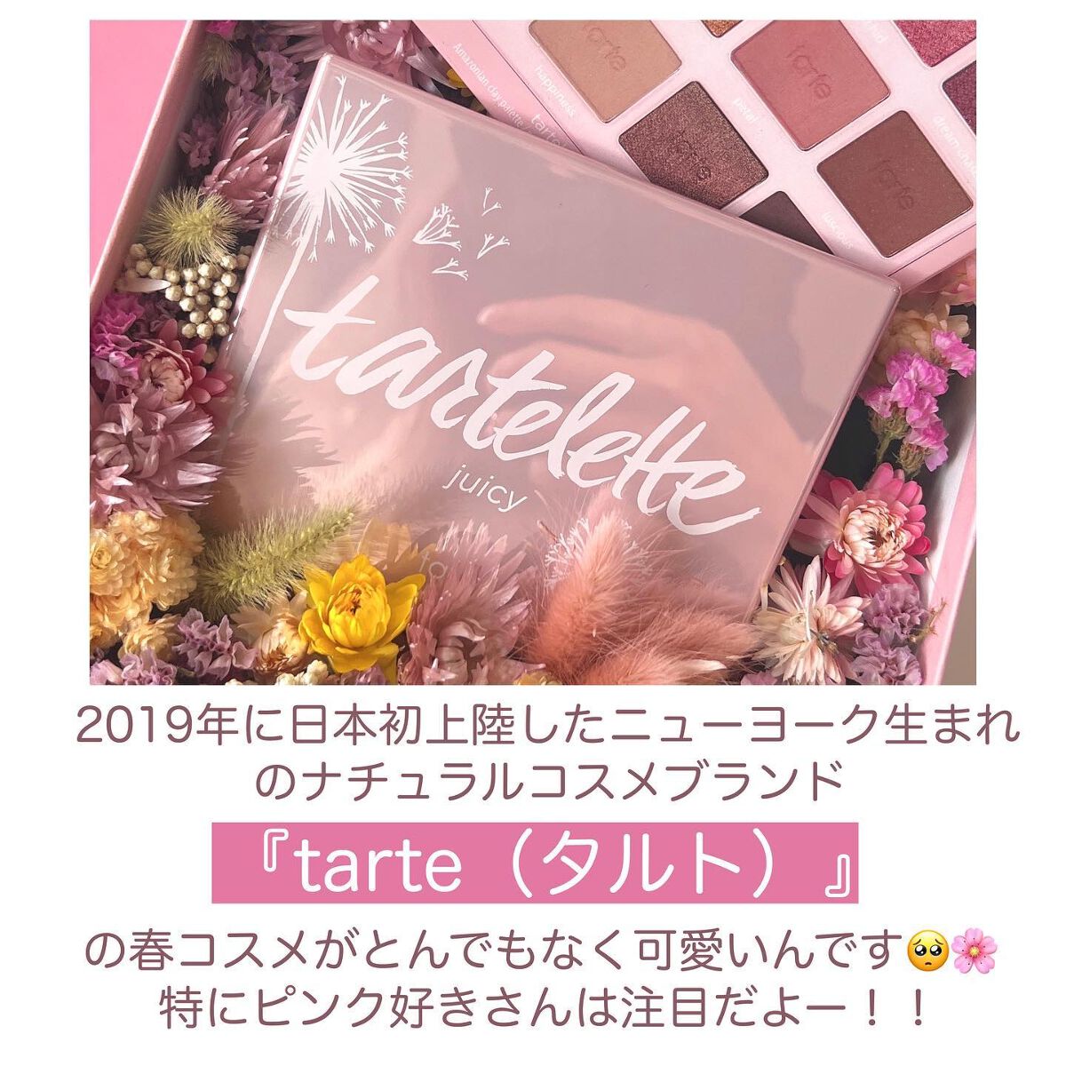 タルトレット ジューシー アマゾニアンクレイ アイシャドウ パレット/tarte/アイシャドウパレットを使ったクチコミ(2枚目)