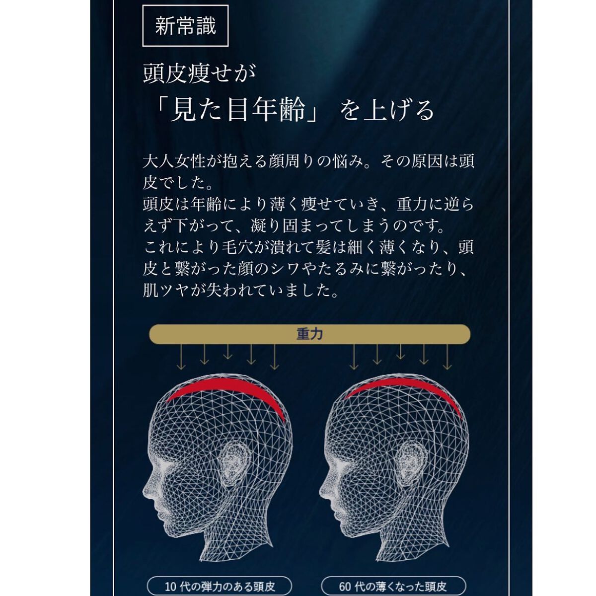 ザ・ブラシュ シャンプー/トリートメント/WiLLA/シャンプー・コンディショナーを使ったクチコミ(8枚目)