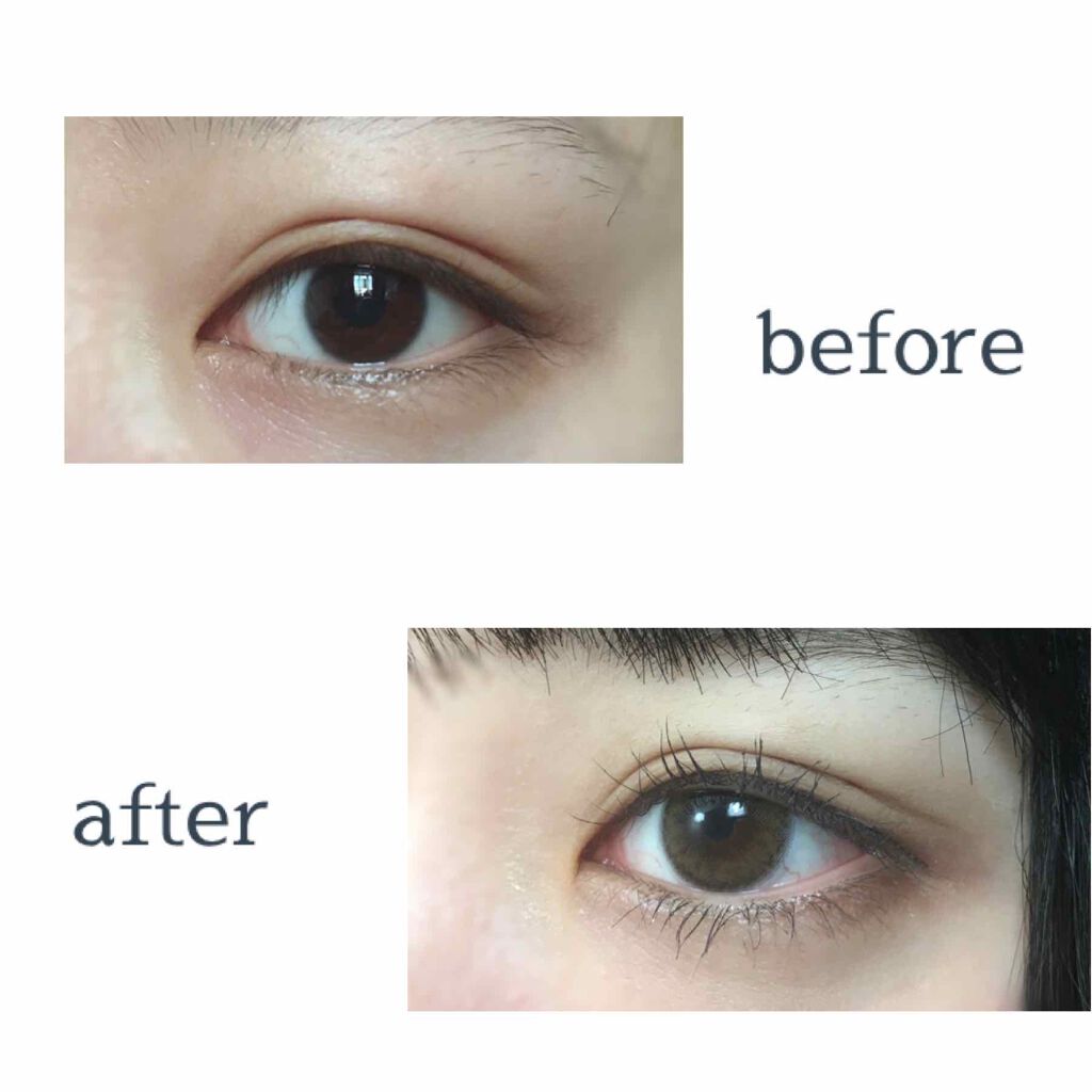 Cheritta 1day パピーブラウン(Puppy Brown)/Cheritta/ワンデー（１DAY）カラコンを使ったクチコミ（2枚目）