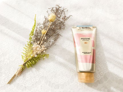 パンテーン エフォートレス ウェザープルーフ トリートメント /パンテーン/洗い流すヘアトリートメントを使ったクチコミ(1枚目)