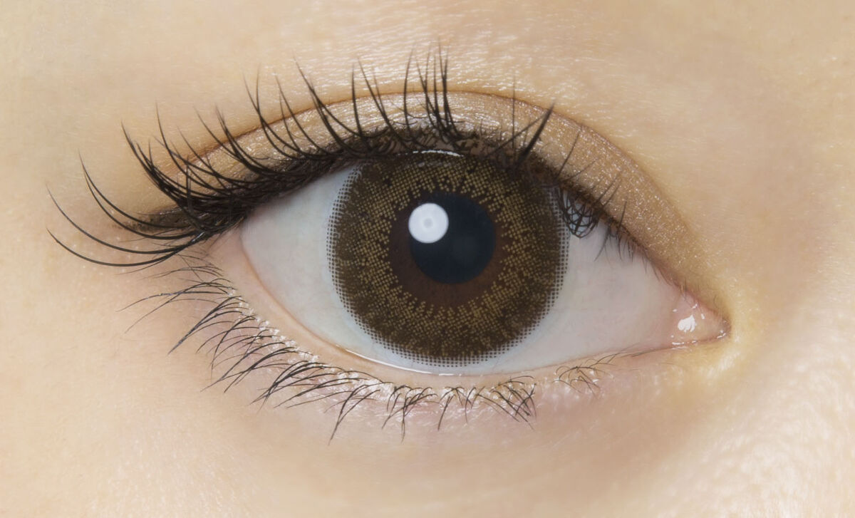 FLANMY 1day マッチャタルト