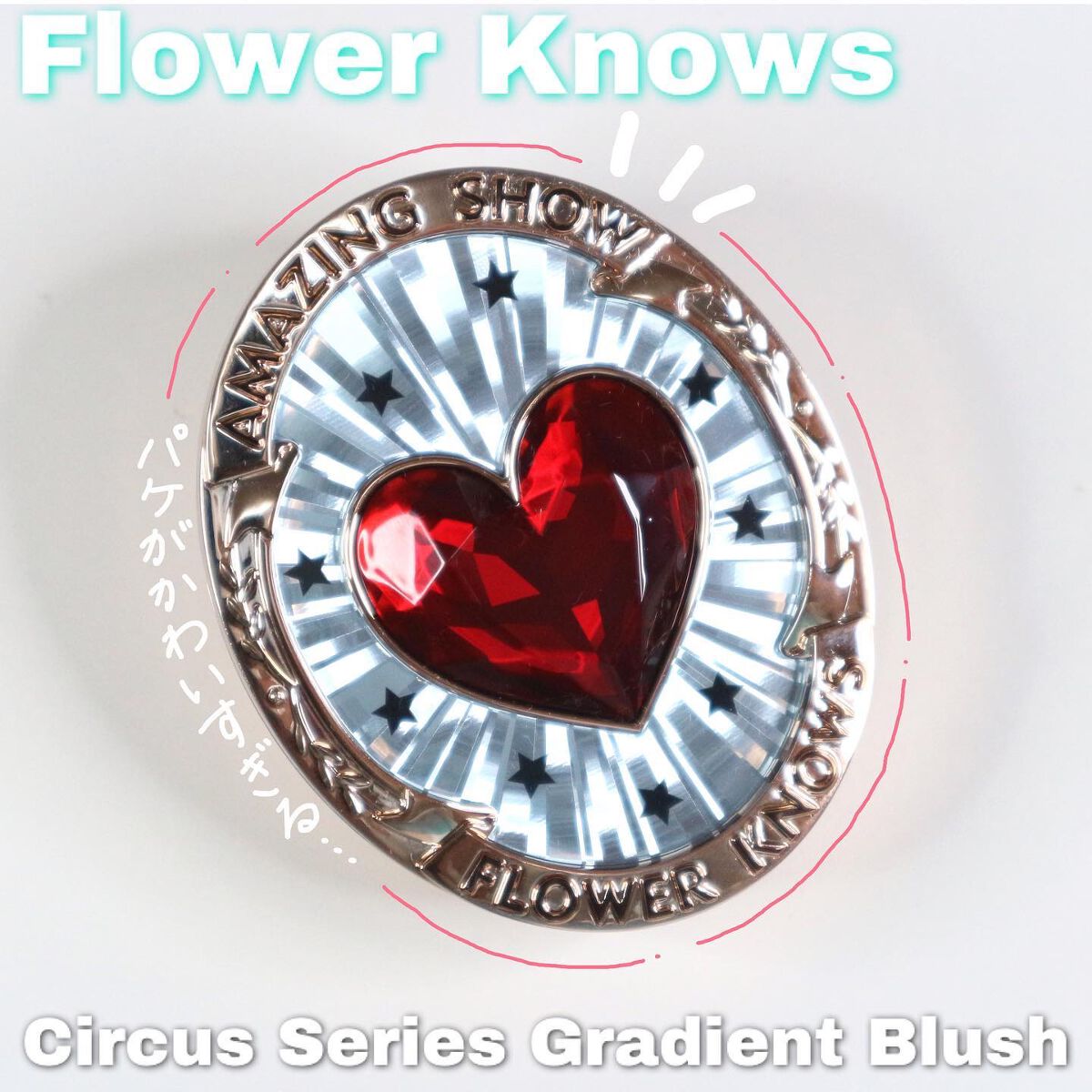 サーカスシリーズ グラデーションブラッシュ /FlowerKnows/パウダーチークを使ったクチコミ（1枚目）