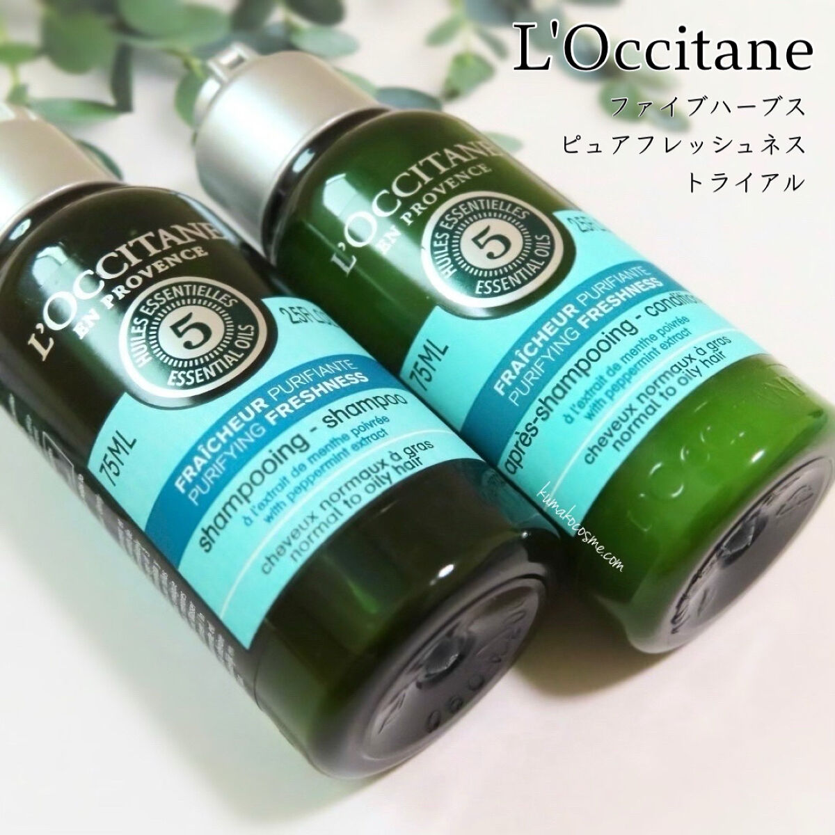 ファイブハーブス ピュアフレッシュネス シャンプー／コンディショナー/L'OCCITANE/市販シャンプーを使ったクチコミ（1枚目）