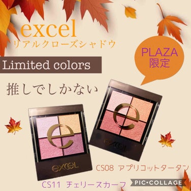 excel リアルクローズシャドウ


秋の限定色買ってきたやで〜〜🍁


CS11 チェリースカーフ

なんかもう、アメリカンチェリーって感じ(語彙力)
全体的にピンクむらさきカラーやのにイエローが入