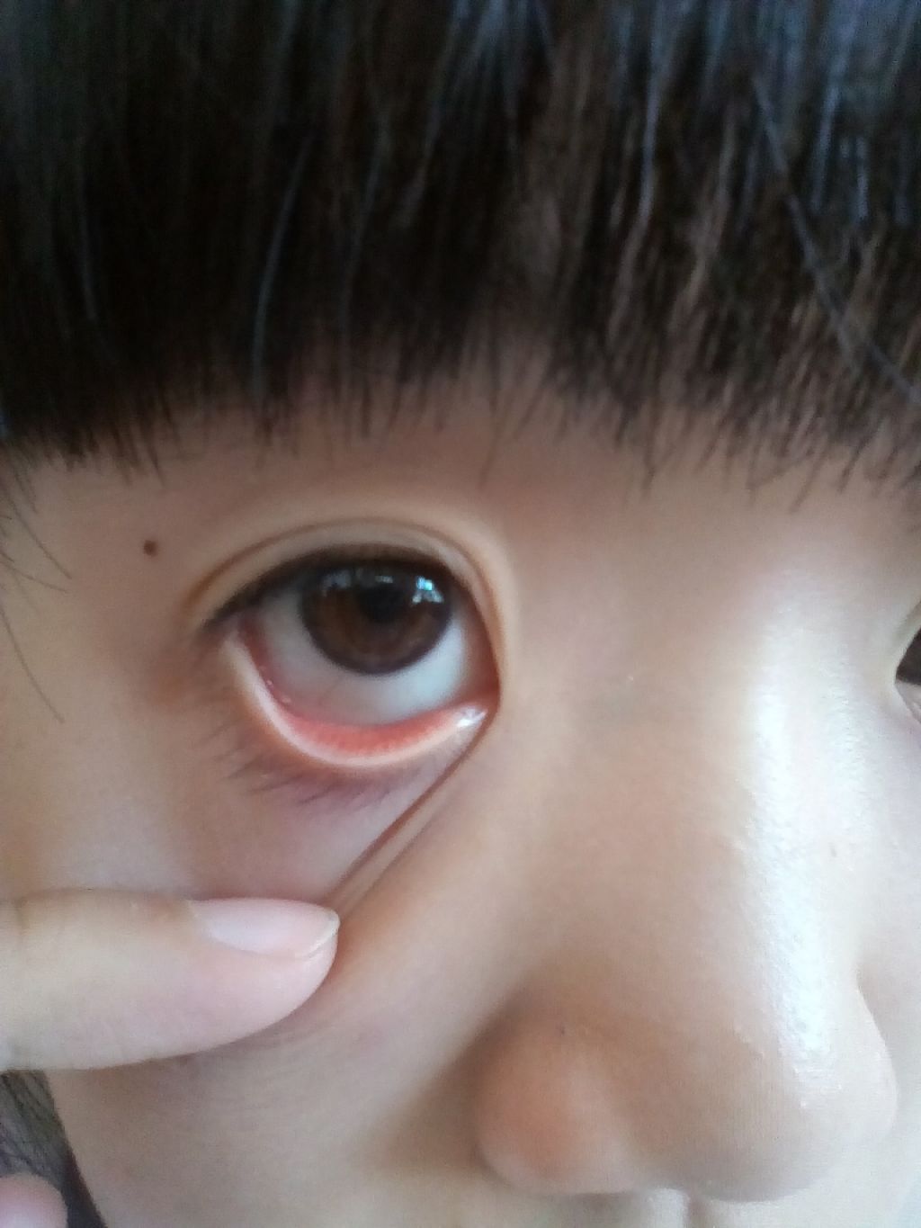 まつげ美容液/CEZANNE/まつげ美容液を使ったクチコミ（2枚目）