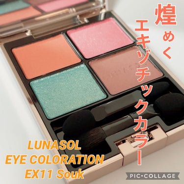 アイカラーレーション EX11 Souk（限定発売）/LUNASOL/アイシャドウパレットを使ったクチコミ（1枚目）