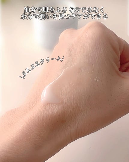 EclatCharme(エクラシャルム)/FABIUS/オールインワン化粧品を使ったクチコミ(4枚目)