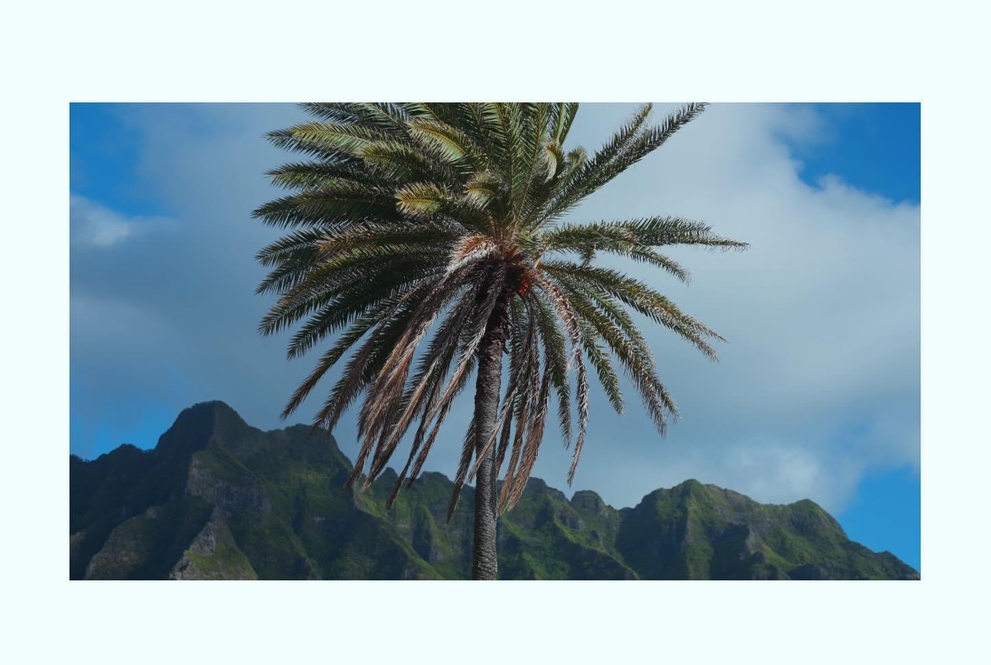 SHAMPOO & TREATMENT SMOOTH & NEUTRAL/LIKOA/サロンシャンプーを使ったクチコミ（2枚目）