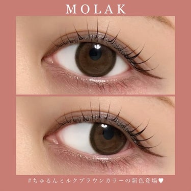 MOLAK 1month ブラウンバニー/MOLAK/１ヶ月（１MONTH）カラコンを使ったクチコミ（1枚目）