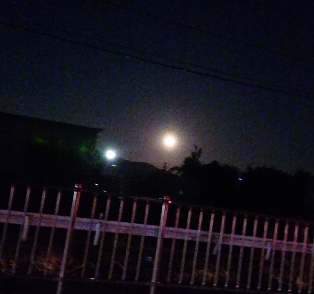 オペラ リップティント N/OPERA/リップティントを使ったクチコミ(1枚目)