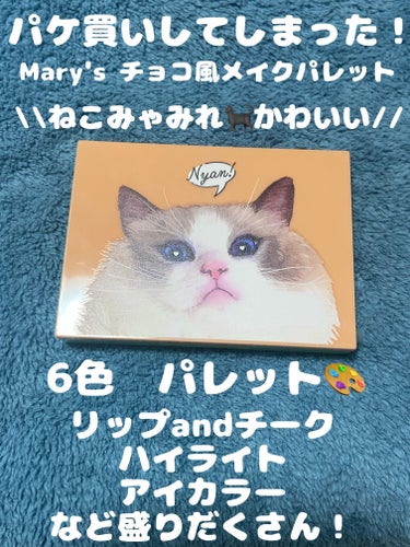 宝島社　Mary’s 猫のチョコレートみたいなメイクアップパレットBOOK
2992円(税込)
✼••┈┈••✼••┈┈••✼••┈┈••✼••┈┈••✼

\\猫もチョコも好きなので...🐈🍫//

