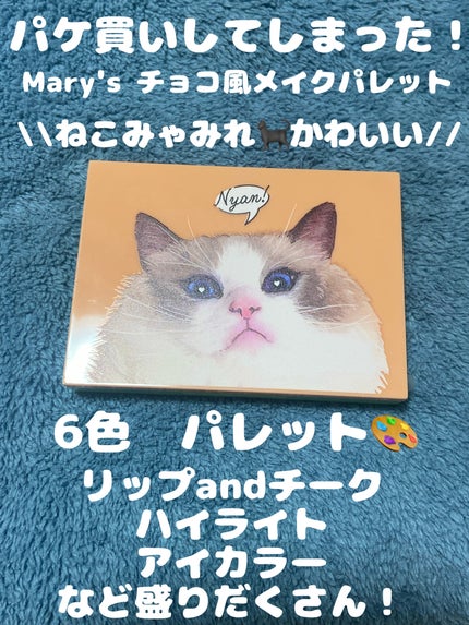 Mary’s 猫のチョコレートみたいなメイクアップパレットBOOK/宝島社/パウダーアイシャドウを使ったクチコミ(1枚目)
